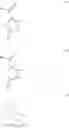 Fig. 712 - AMIDO-SUBSTITUTED CYCLOHEXANE DERIVATIVES