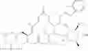 Fig. 33 - 16-member triamilide derivatives and uses thereof
