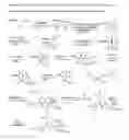 Fig. 01 - Deuterated O-sulfated beta lactam hydroxamic acids and deuterated N-sulfated beta lactams