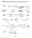 Fig. 04 - Deuterated O-sulfated beta lactam hydroxamic acids and deuterated N-sulfated beta lactams