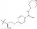 Fig. 20 - Deuterated O-sulfated beta lactam hydroxamic acids and deuterated N-sulfated beta lactams
