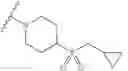 Fig. 110 - Substituted pyrazolo[1,5-A]pyridine compounds as RET kinase inhibitors