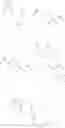 Fig. 41 - Substituted pyrazolo[1,5-A]pyridine compounds as RET kinase inhibitors