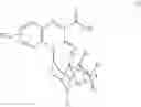 Fig. 98 - Substituted-Quinoxaline-Type Bridged-Piperidine Compounds and the Uses Thereof