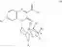 Fig. 99 - Substituted-Quinoxaline-Type Bridged-Piperidine Compounds and the Uses Thereof