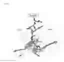Fig. 06 - Method of treating Crohn's disease comprising a TLR2 antagonist