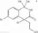 Fig. 43 - Tetrahydroisoquinoline derivatives