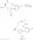 Fig. 100 - Macrocycles as factor XIa inhibitors
