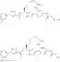 Fig. 17 - Macrocycles as factor XIa inhibitors