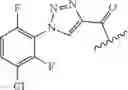 Fig. 203 - Macrocycles as factor XIa inhibitors