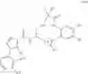 Fig. 24 - Macrocycles as factor XIa inhibitors