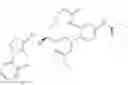 Fig. 433 - Macrocycles as factor XIa inhibitors