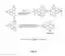 Fig. 09 - Tetradentate and octahedral metal complexes containing naphthyridinocarbazole and its analogues