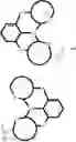 Fig. 29 - Tetradentate and octahedral metal complexes containing naphthyridinocarbazole and its analogues