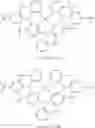 Fig. 438 - Tetradentate and octahedral metal complexes containing naphthyridinocarbazole and its analogues