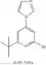 Fig. 462 - Tetradentate and octahedral metal complexes containing naphthyridinocarbazole and its analogues
