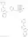 Fig. 485 - Tetradentate and octahedral metal complexes containing naphthyridinocarbazole and its analogues