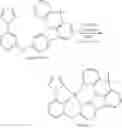 Fig. 504 - Tetradentate and octahedral metal complexes containing naphthyridinocarbazole and its analogues
