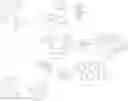 Fig. 535 - Tetradentate and octahedral metal complexes containing naphthyridinocarbazole and its analogues