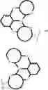 Fig. 596 - Tetradentate and octahedral metal complexes containing naphthyridinocarbazole and its analogues
