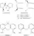 Fig. 10 - Processes for preparing and using ruthenium and osmium complexes