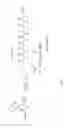 Fig. 07 - Peptide derivative for regulating thymic stromal lymphoid protein-mediated signaling and pharmaceutical composition for preventing and treating allergy and asthma diseases comprising same