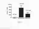 Fig. 14 - NOVEL a4B7 PEPTIDE MONOMER AND DIMER ANTAGONISTS