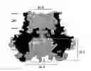 Fig. 01 - MUTANT CSGG PORES