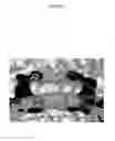 Fig. 03 - MUTANT CSGG PORES
