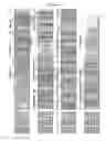 Fig. 05 - MUTANT CSGG PORES