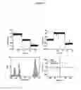 Fig. 06 - MUTANT CSGG PORES
