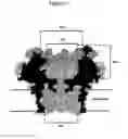 Fig. 12 - MUTANT CSGG PORES