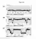 Fig. 16 - MUTANT CSGG PORES