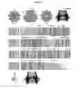 Fig. 52 - MUTANT CSGG PORES