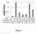 Fig. 05 - Toxoid peptides derived from phenol soluble modulin, delta toxin, superantigens, and fusions thereof