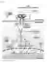 Fig. 12 - Toll-like receptor 4 (TLR4) antagonist
