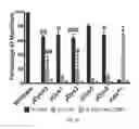 Fig. 07 - Micro-dystrophins and related methods of use