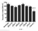 Fig. 12 - Micro-dystrophins and related methods of use