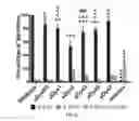 Fig. 13 - Micro-dystrophins and related methods of use