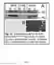 Fig. 25 - Micro-dystrophins and related methods of use