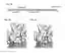 Fig. 03 - Monomeric CXCL121 peptide and methods of treating autoimmune diseases