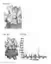 Fig. 04 - Monomeric CXCL121 peptide and methods of treating autoimmune diseases