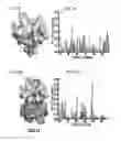 Fig. 06 - Monomeric CXCL121 peptide and methods of treating autoimmune diseases