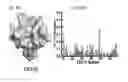 Fig. 07 - Monomeric CXCL121 peptide and methods of treating autoimmune diseases