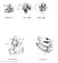 Fig. 19 - Monomeric CXCL121 peptide and methods of treating autoimmune diseases