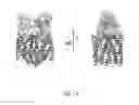 Fig. 23 - Monomeric CXCL121 peptide and methods of treating autoimmune diseases