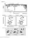 Fig. 26 - Monomeric CXCL121 peptide and methods of treating autoimmune diseases
