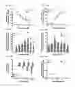 Fig. 28 - Monomeric CXCL121 peptide and methods of treating autoimmune diseases