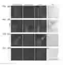 Fig. 30 - Monomeric CXCL121 peptide and methods of treating autoimmune diseases