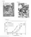 Fig. 35 - Monomeric CXCL121 peptide and methods of treating autoimmune diseases